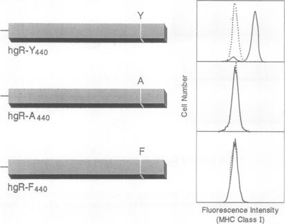 graphic file with name pnas01098-0069-a.jpg