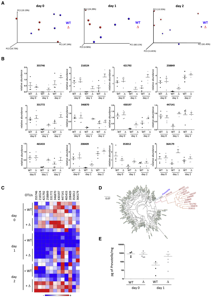 Figure 2