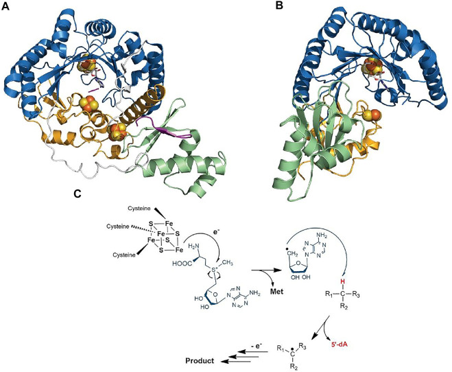 FIGURE 2