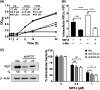 FIG 3