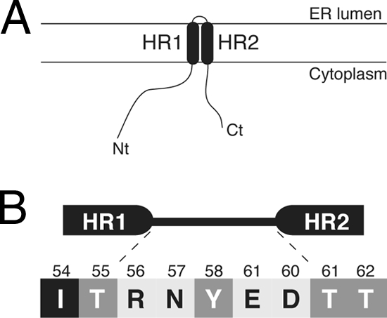 Fig. 9.