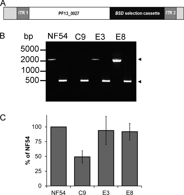 Fig 6