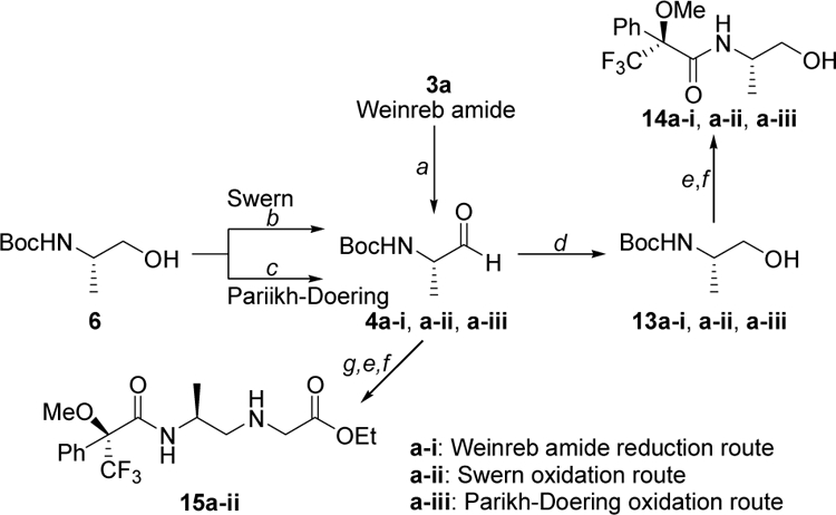 Scheme 4