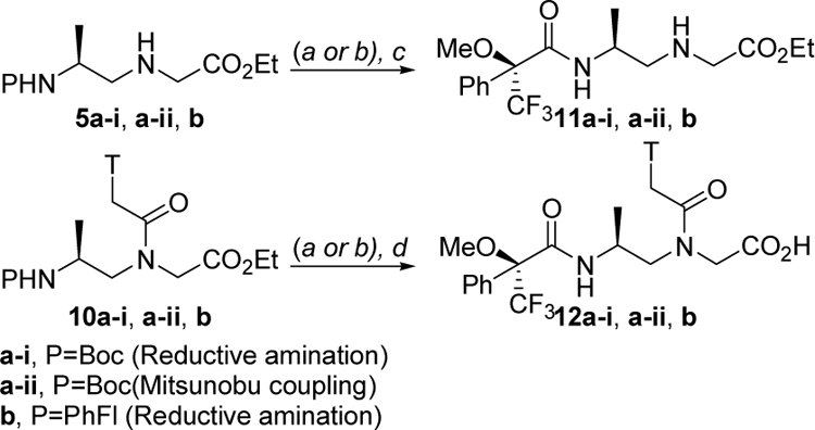 Scheme 3