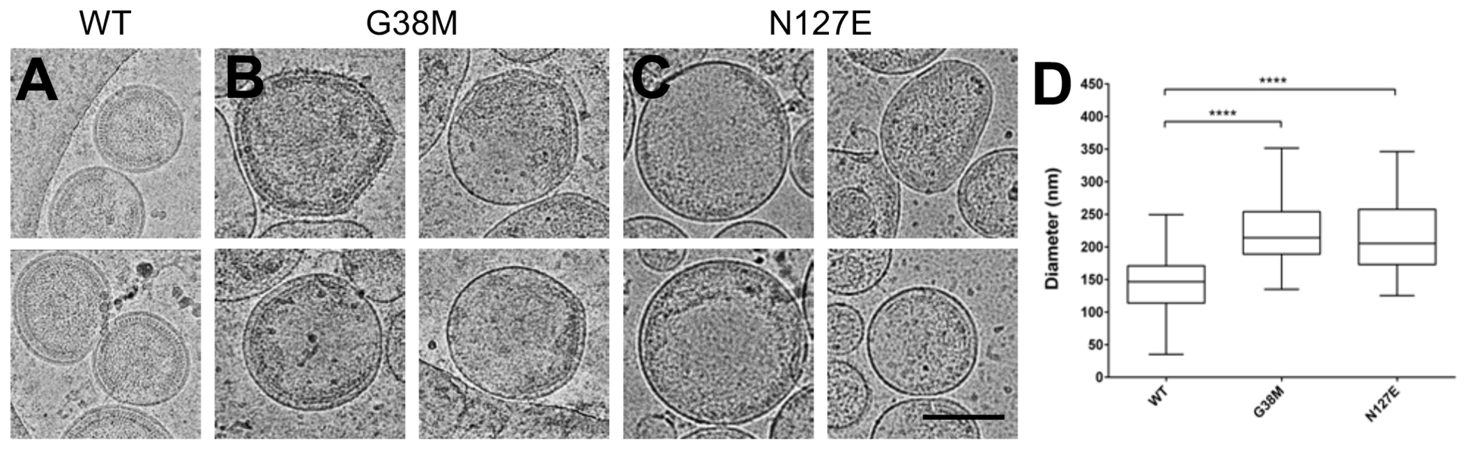 Figure 5.