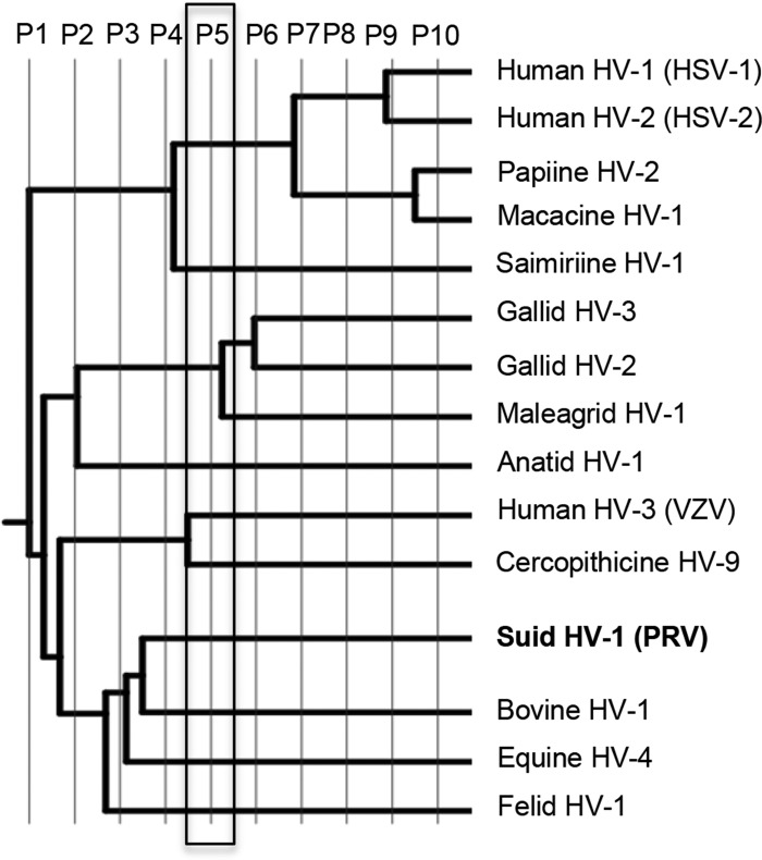 FIG 6