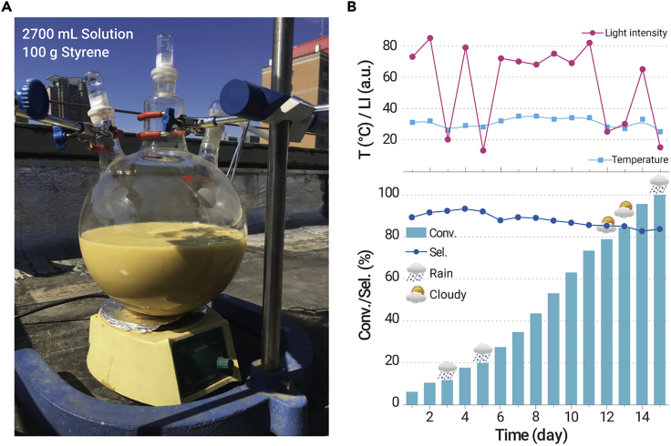 Figure 4