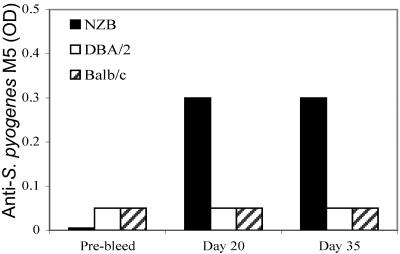 FIG. 5.