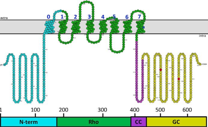 Figure 1.