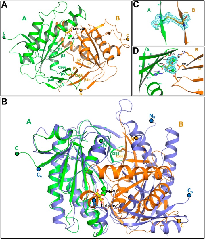 Figure 5.