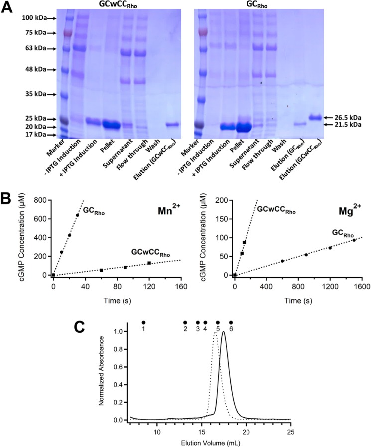 Figure 2.