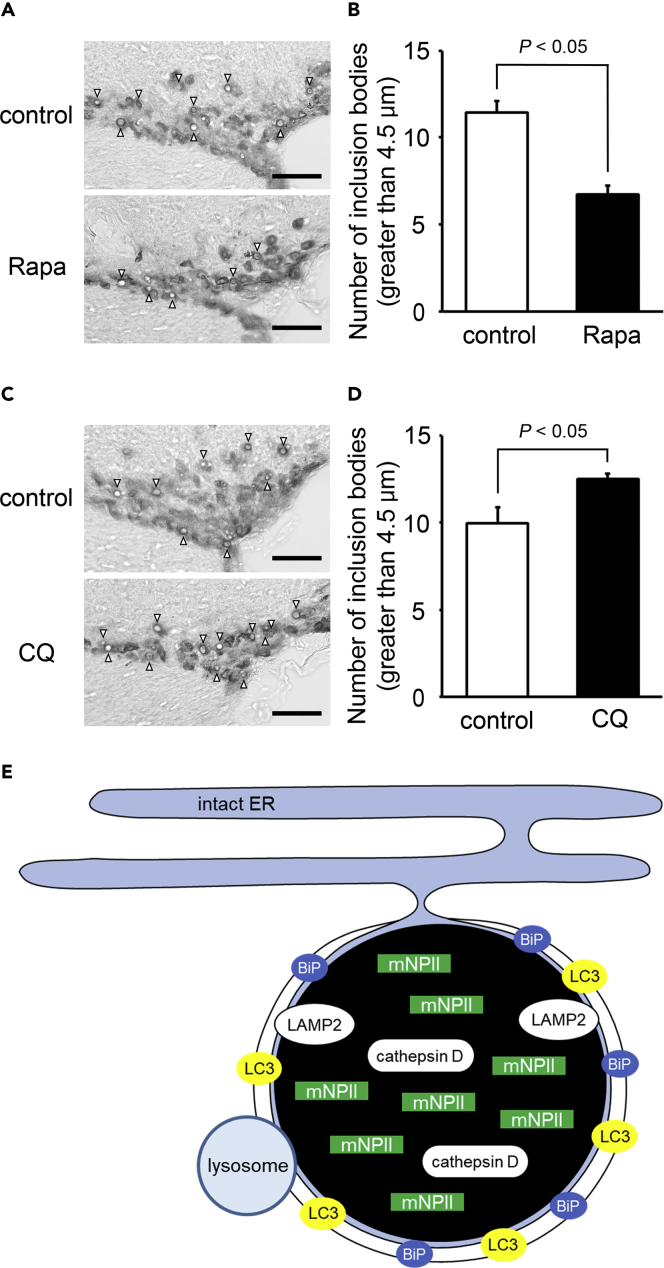 Figure 6