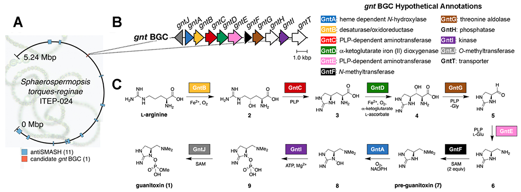 Figure 2.