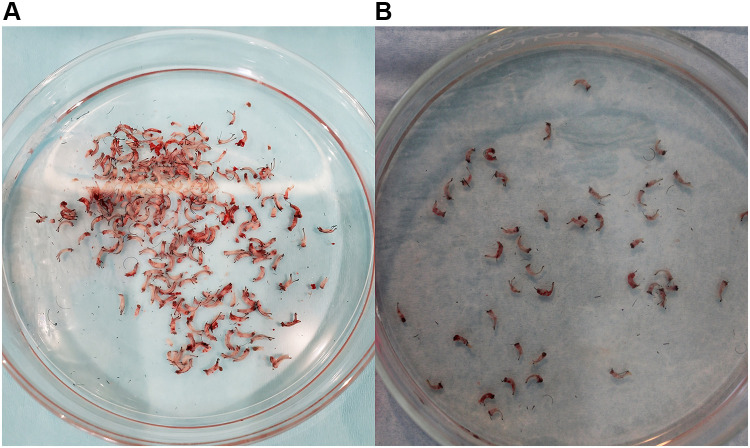 Figure 15