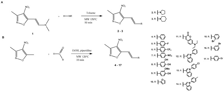 Scheme 1