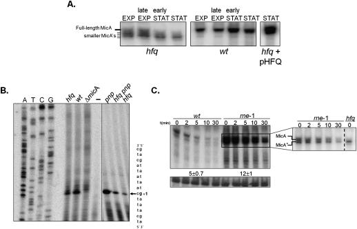 FIGURE 5.