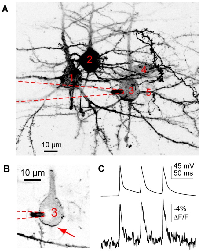 Figure 5