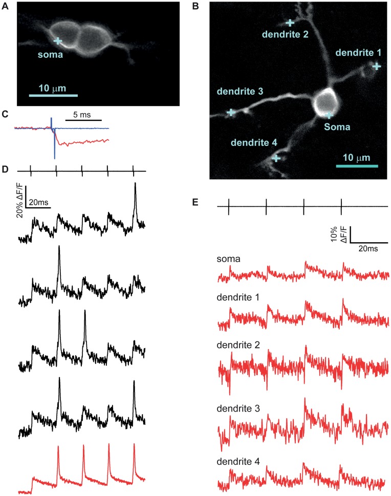 Figure 9