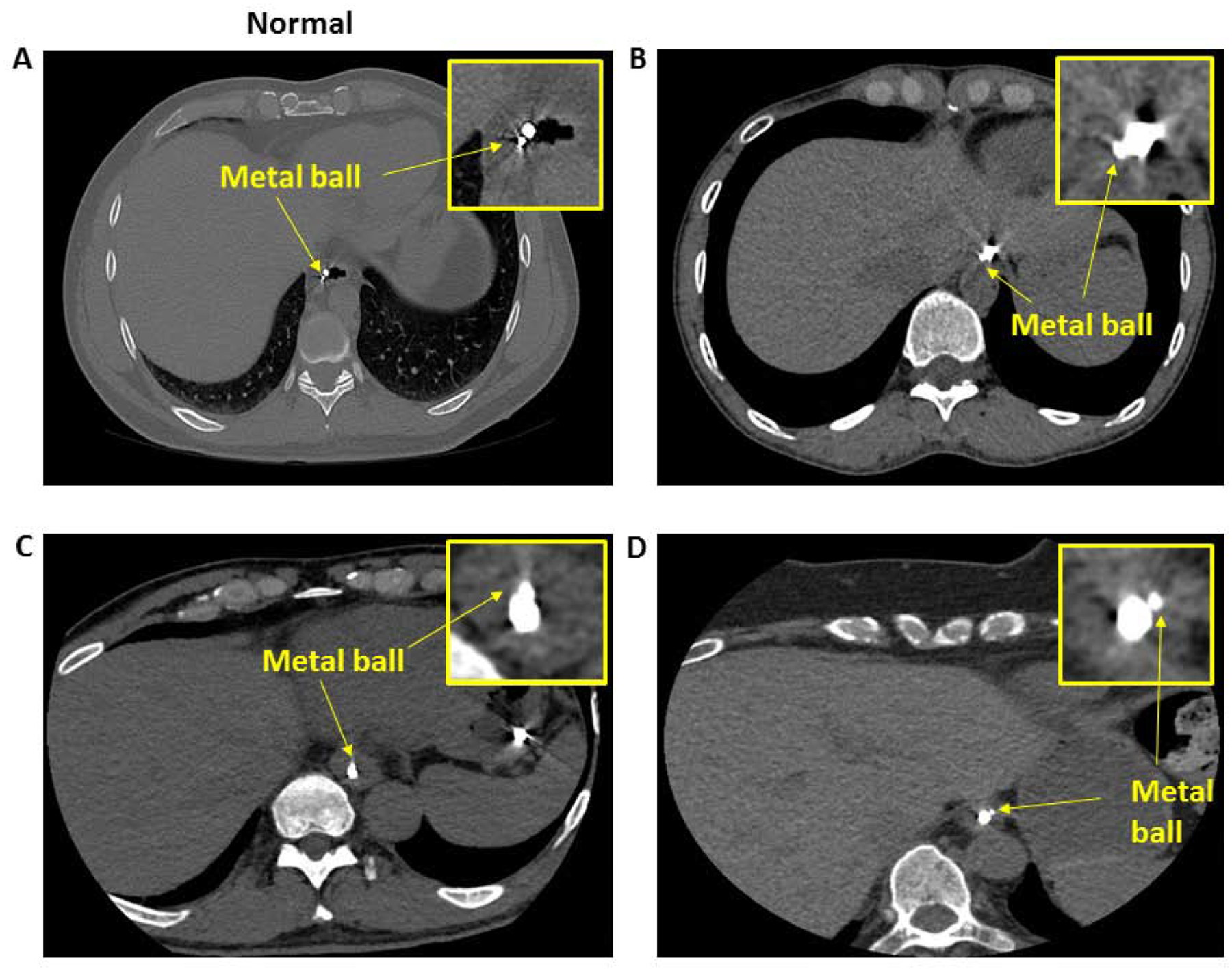 Figure 1: