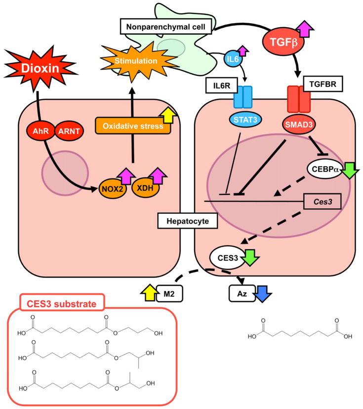 Figure 7