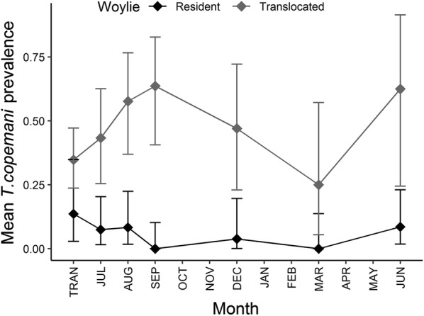 Fig. 7