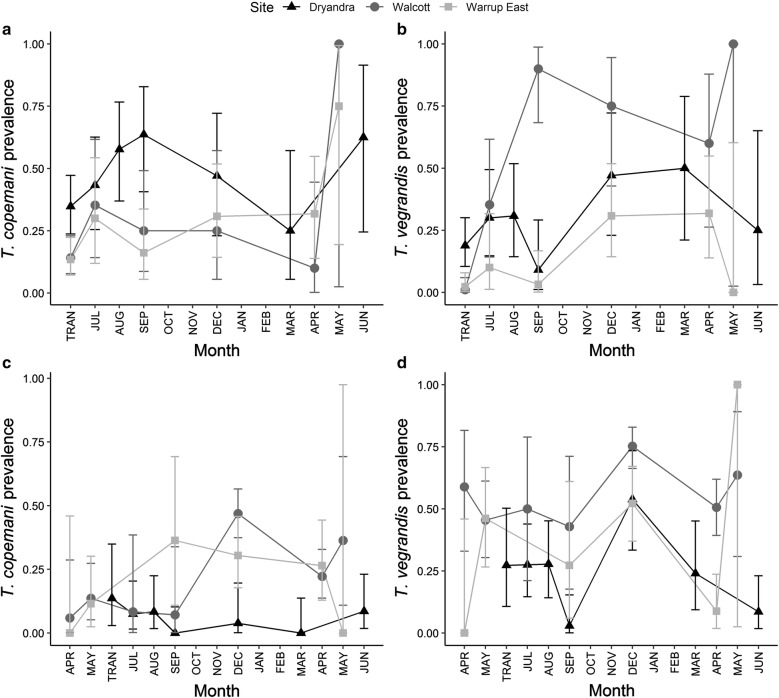 Fig. 3