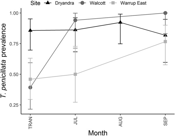 Fig. 4