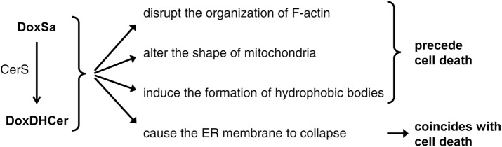 FIGURE 8: