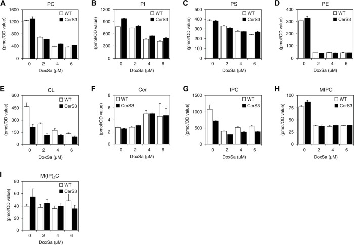 FIGURE 6: