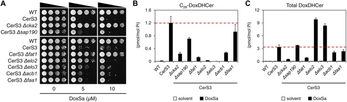 FIGURE 4: