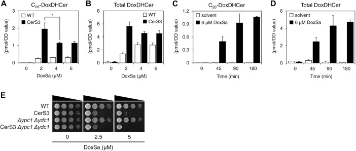 FIGURE 7: