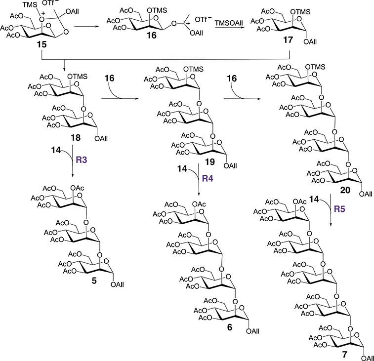 Scheme 4.