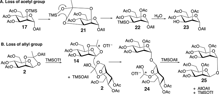 Scheme 5.