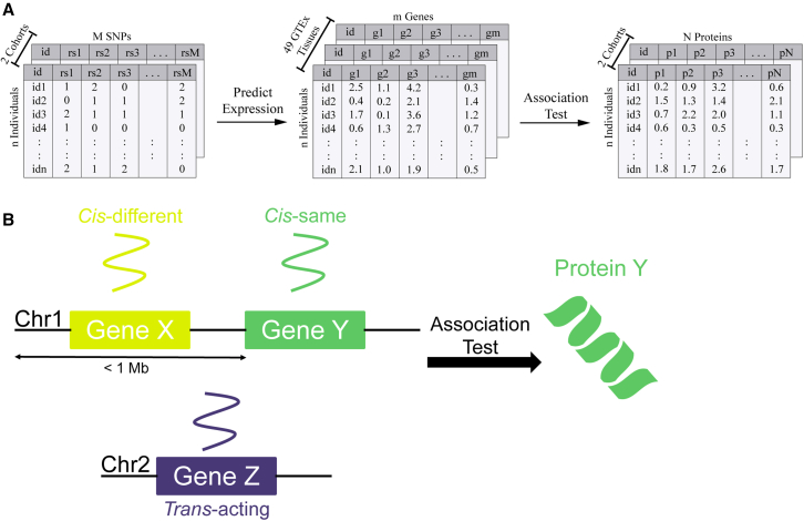 Figure 1