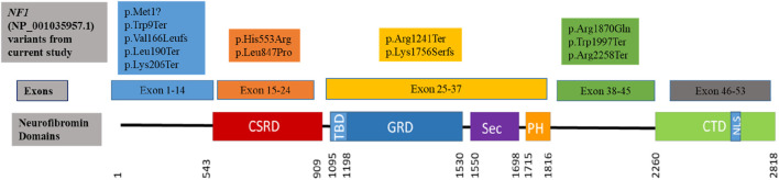 FIGURE 1