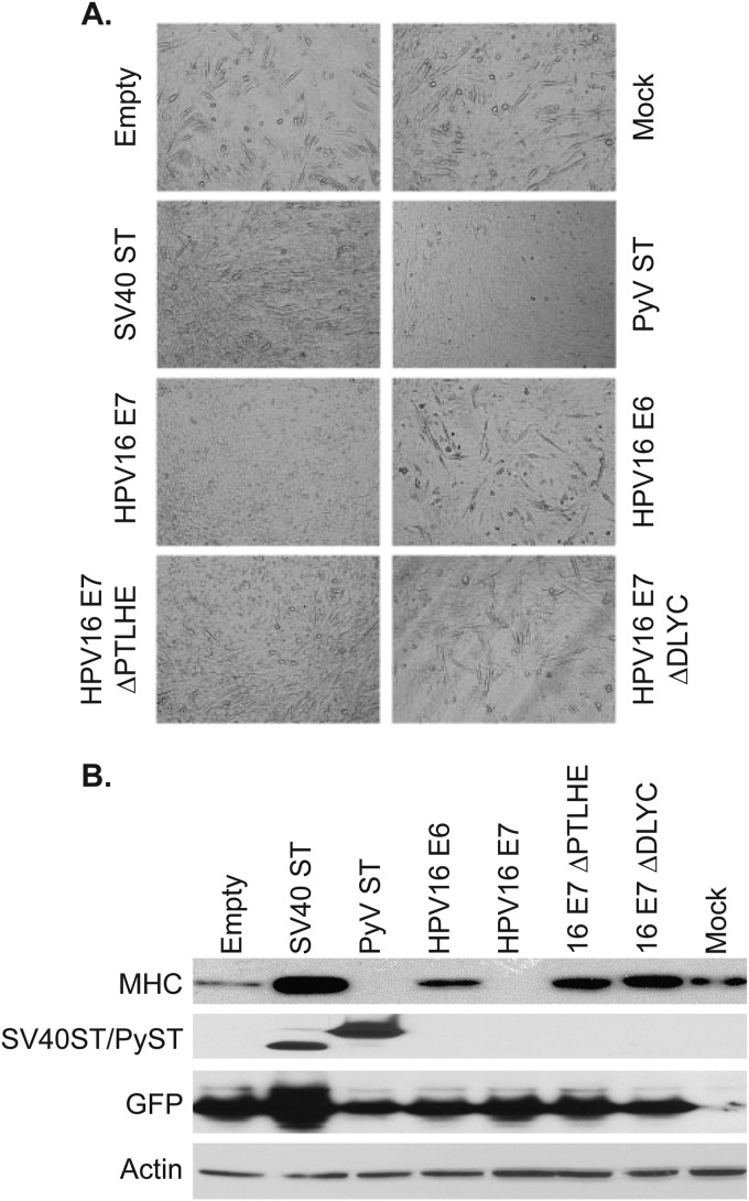 FIG 5