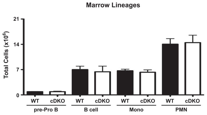 Fig. 13