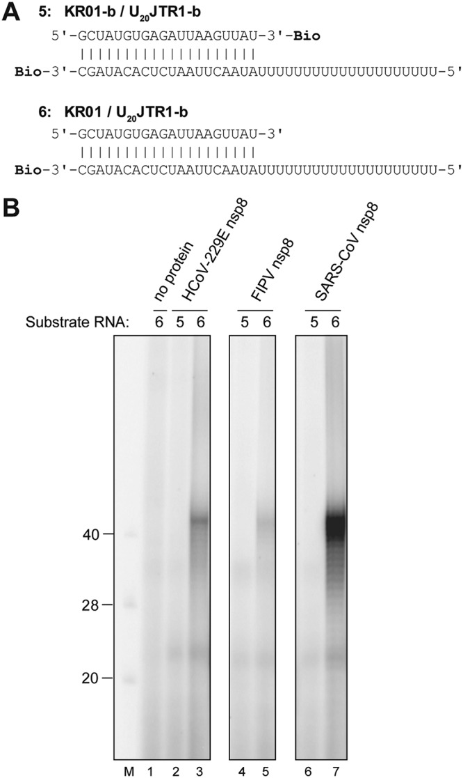 FIG 8