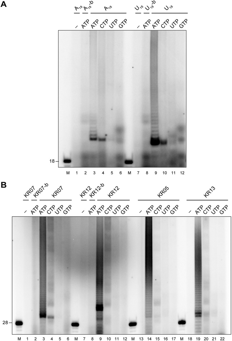 FIG 3