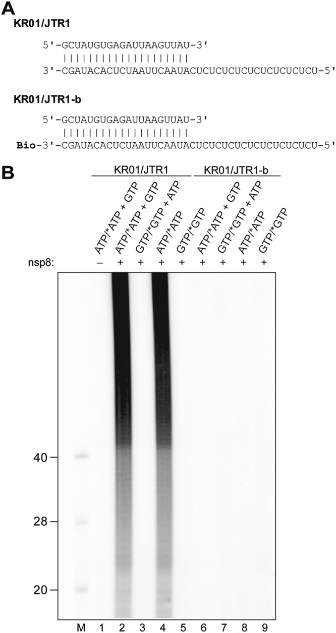 FIG 5