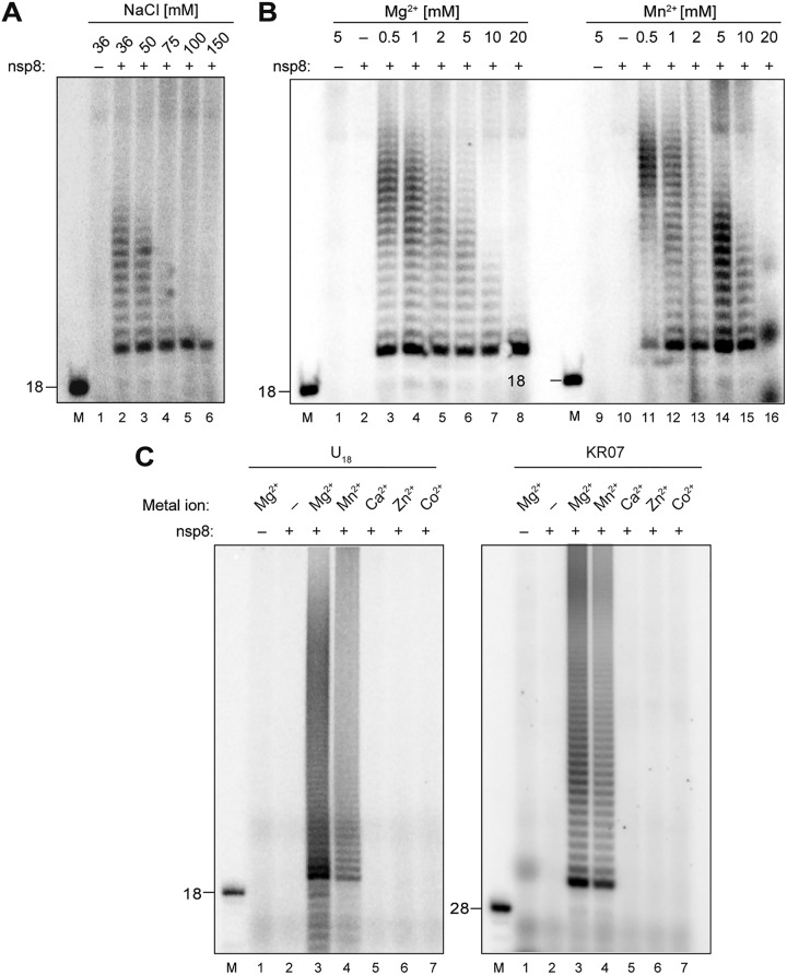 FIG 2