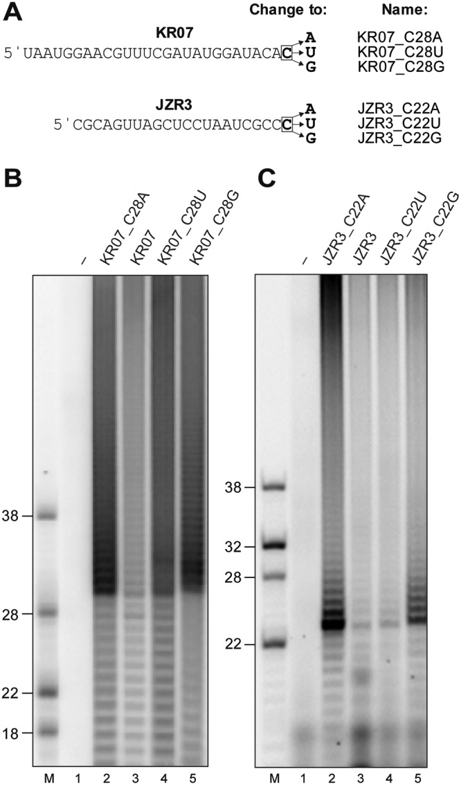 FIG 4