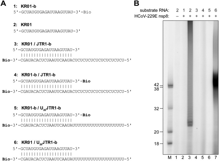 FIG 7