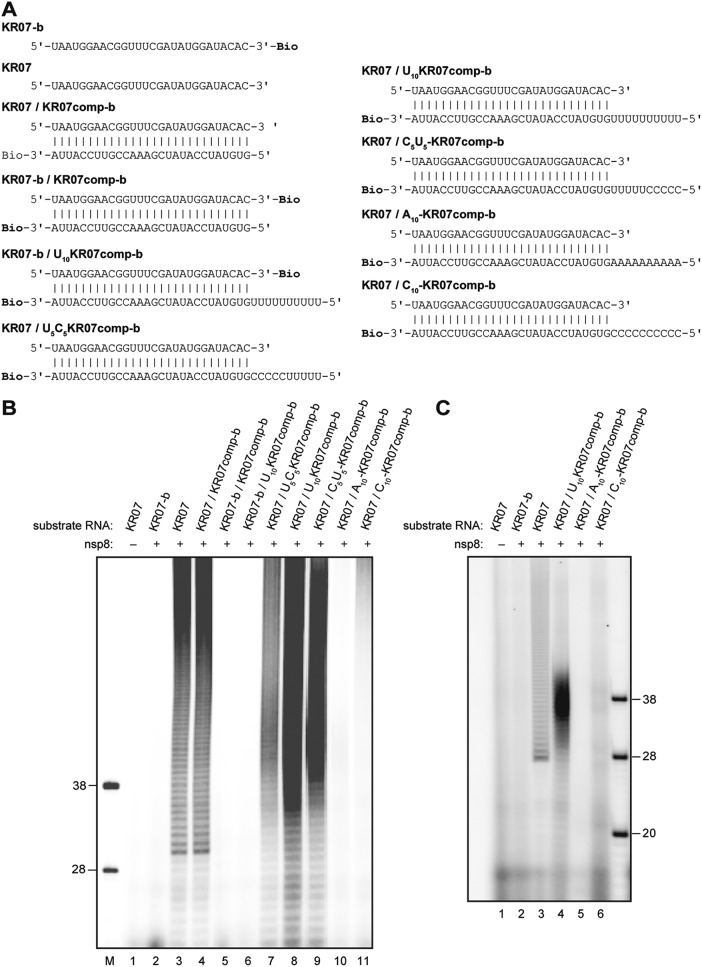 FIG 6