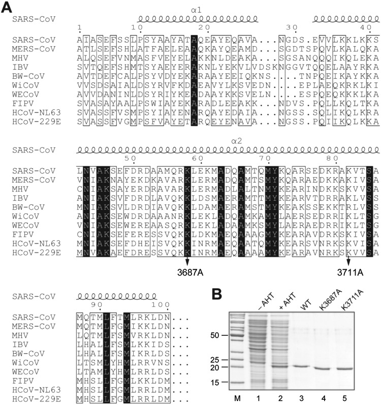 FIG 1