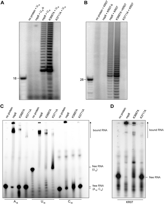 FIG 9