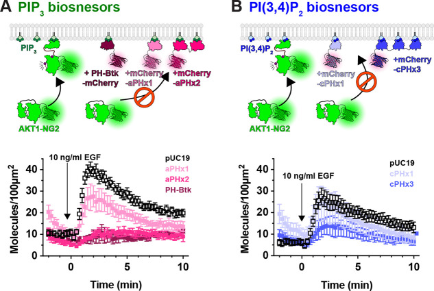 Figure 4: