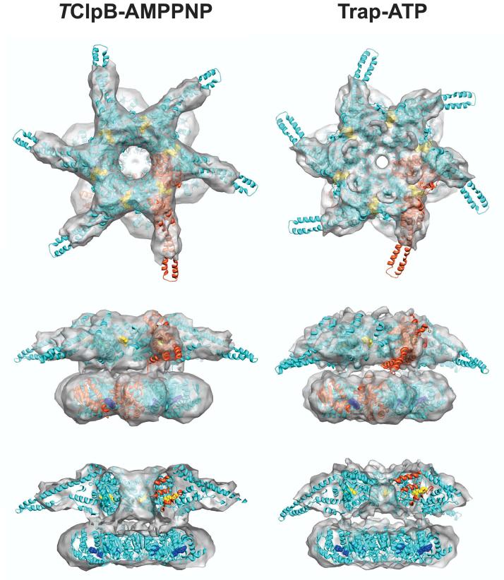 Figure 4