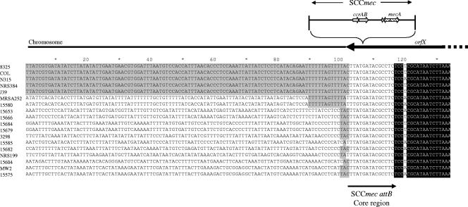 FIG. 5.