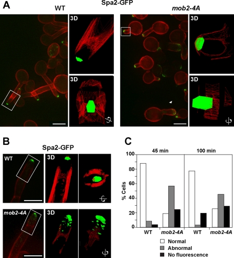 FIGURE 6: